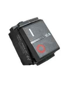 Disyuntor Bticino 4636